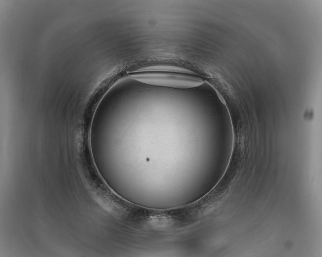 X0000091560591200708171327