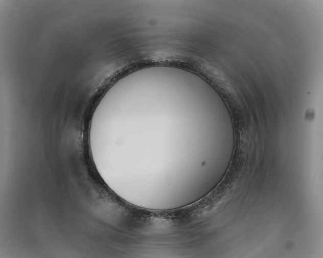 X0000091560592200708171327