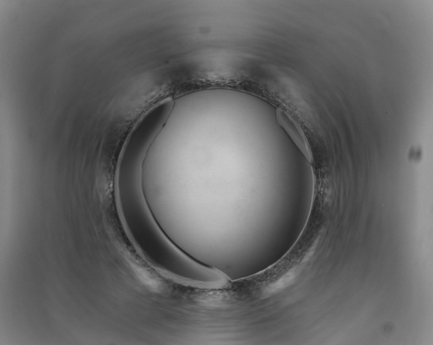 X0000091560593200708171327