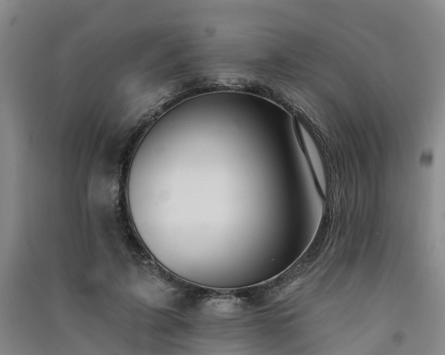 X0000091560595200708171327