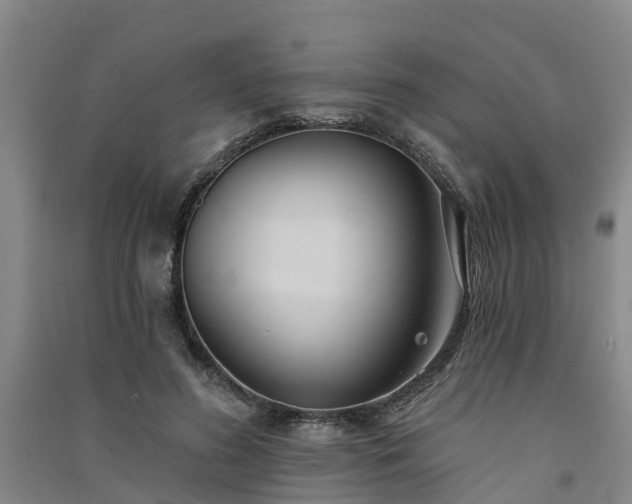 X0000091560596200708171327