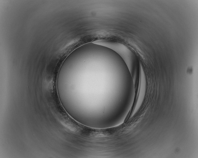 X0000091560597200708171327