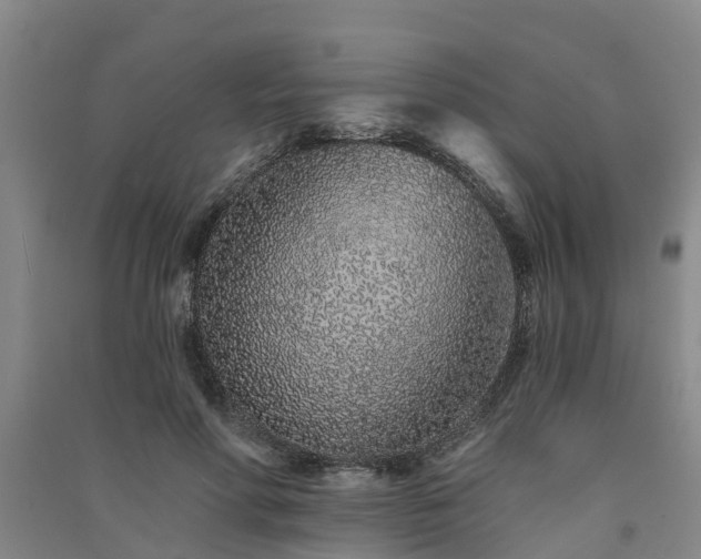 X0000091560598200708171327