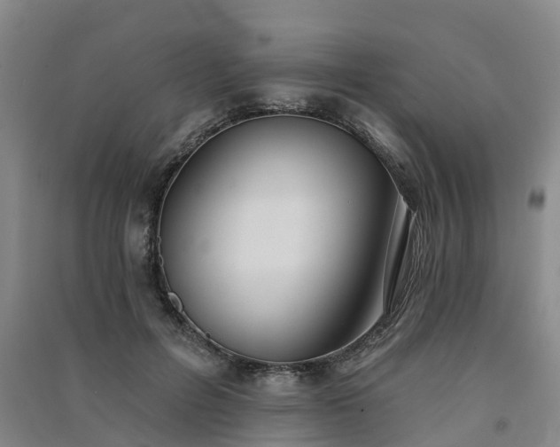 X0000091560600200708171327