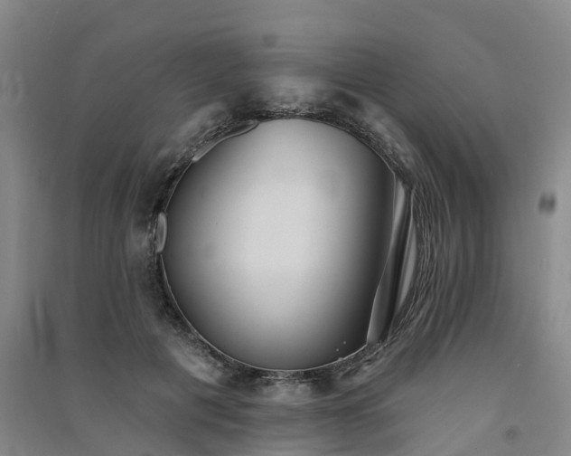 X0000091560601200708171327