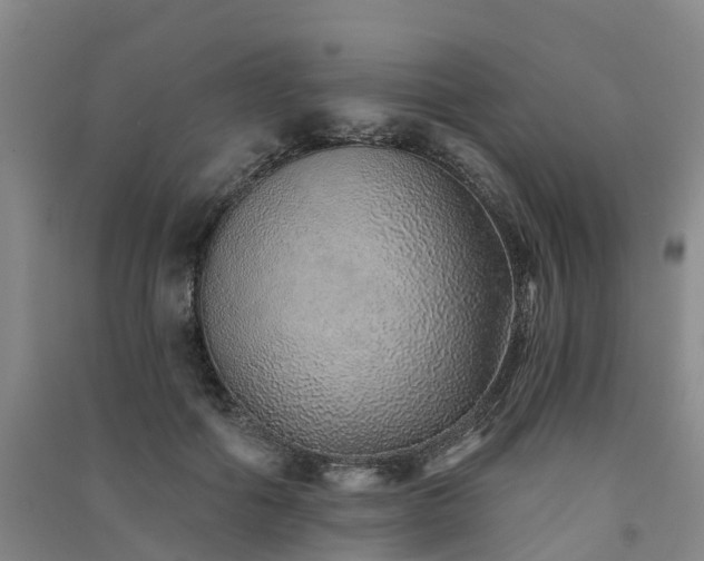 X0000091560602200708171327