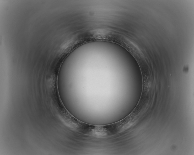 X0000091560603200708171327