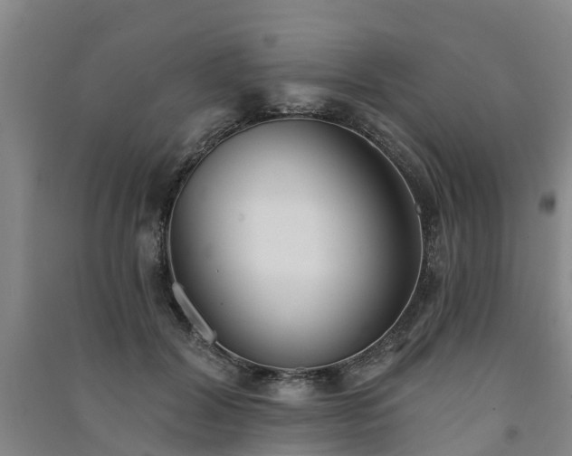 X0000091560604200708171327