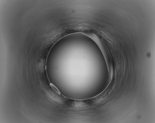 X0000091560605200708171327