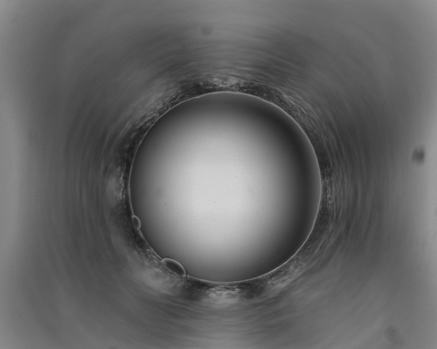 X0000091560606200708171327