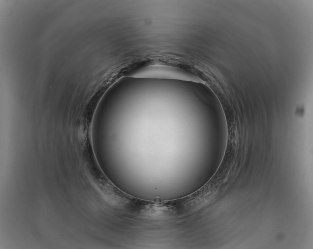 X0000091560607200708171327