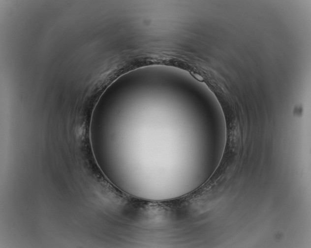 X0000091560608200708171327