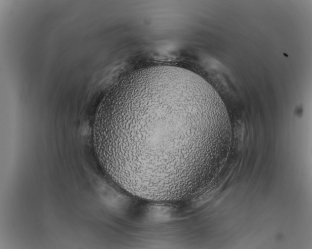 X0000091560614200708171327