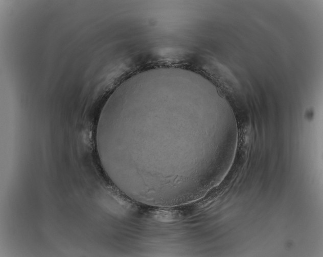 X0000091560615200708171327