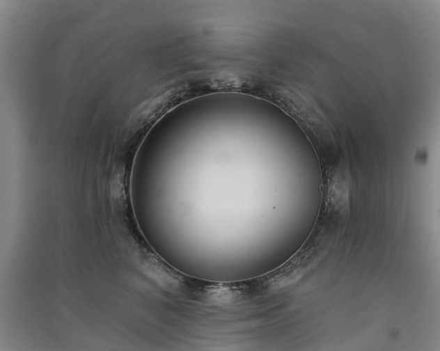 X0000091560616200708171327