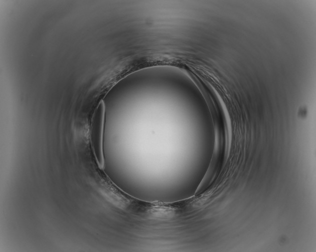 X0000091560617200708171327