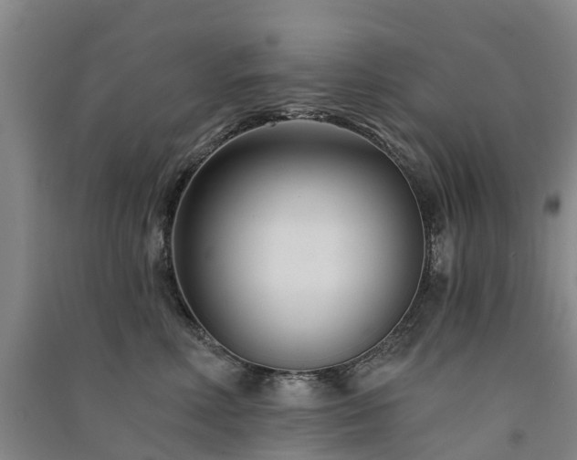 X0000091560618200708171327