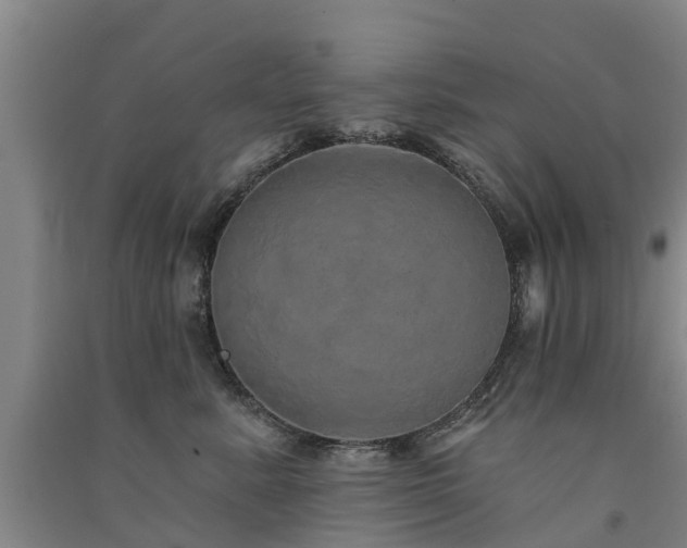 X0000091560619200708171327