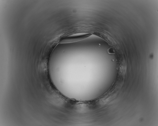 X0000091560620200708171327