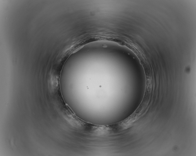 X0000091560621200708171327