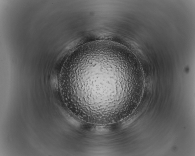 X0000091560622200708171327