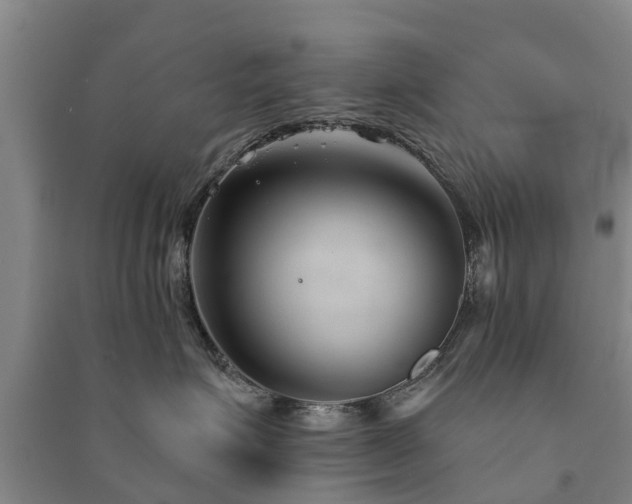 X0000091560623200708171327