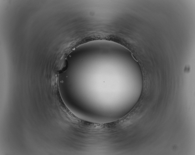 X0000091560624200708171327