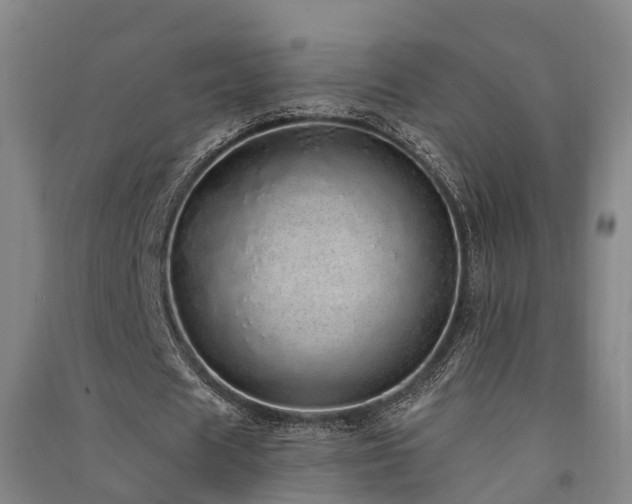 X0000091560625200708171326