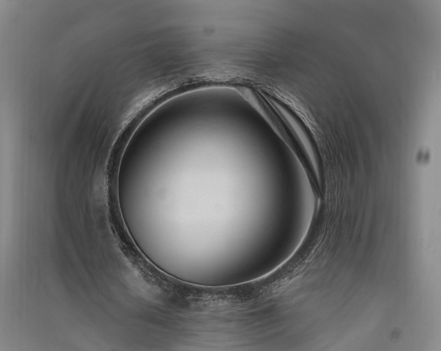 X0000091560626200708171326