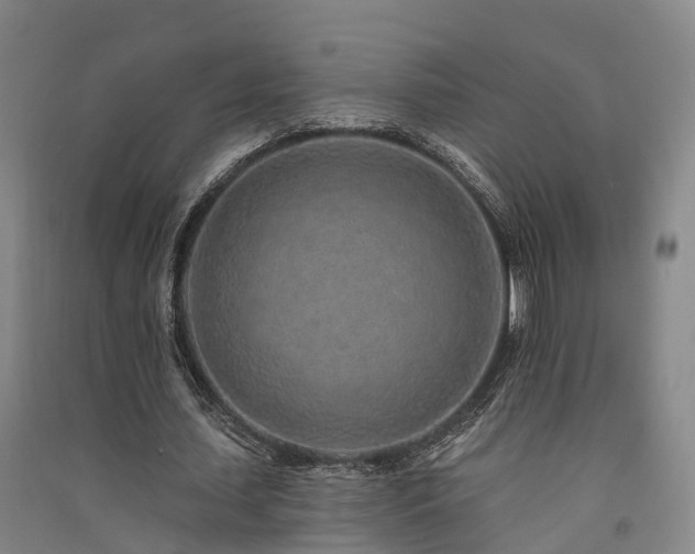 X0000091560627200708171326