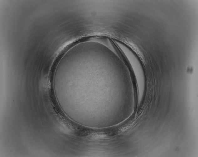 X0000091560628200708171326