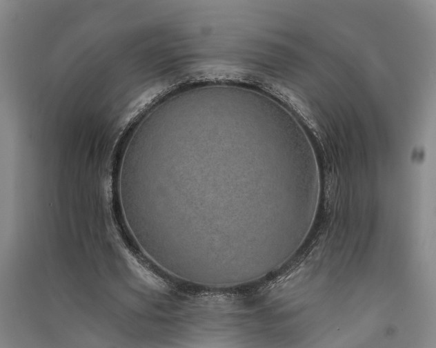 X0000091560629200708171326