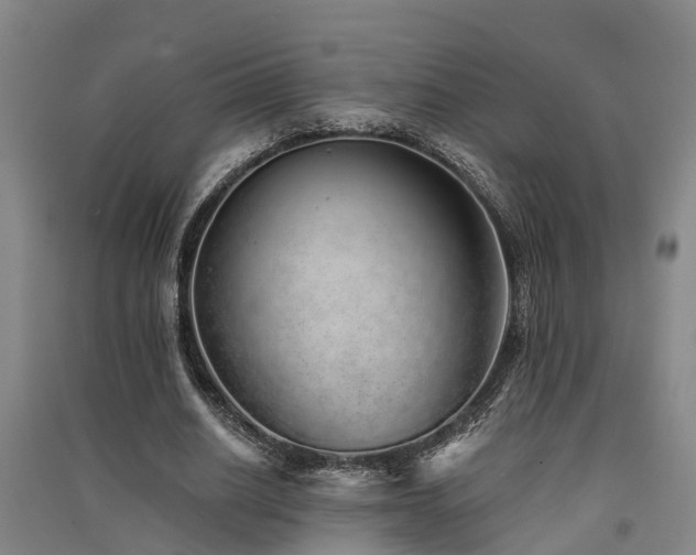 X0000091560630200708171326