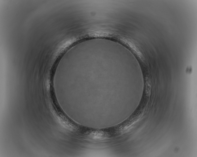 X0000091560631200708171326