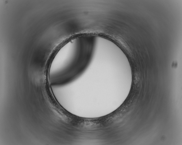 X0000091560632200708171326