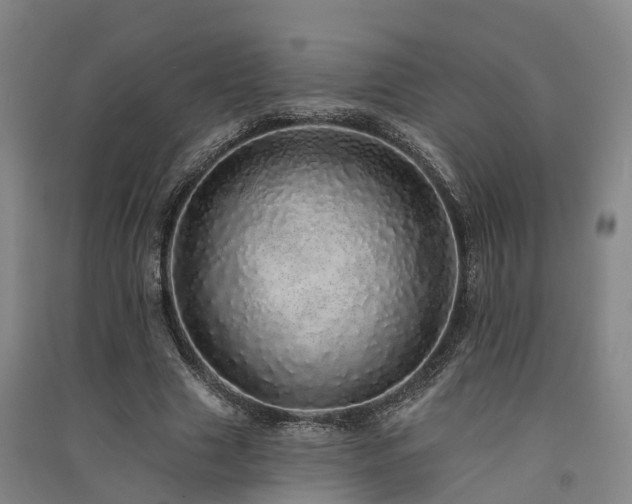 X0000091560633200708171326