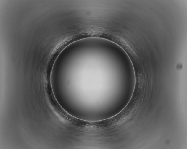 X0000091560634200708171326