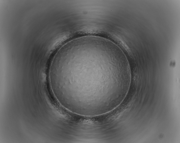 X0000091560635200708171326