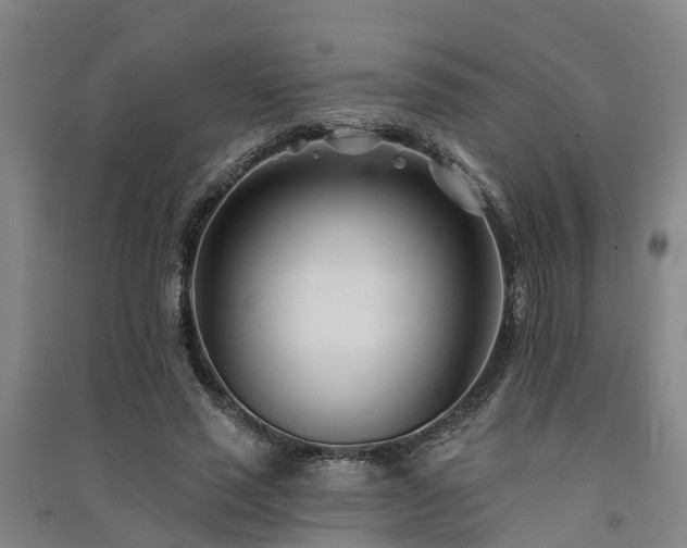 X0000091560637200708171326