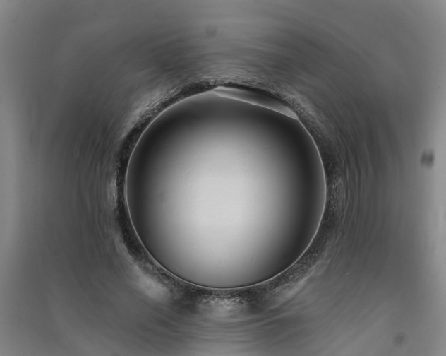 X0000091560638200708171326