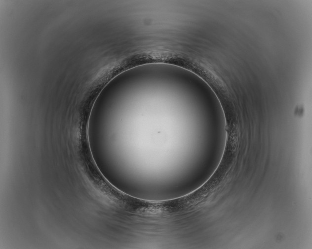 X0000091560639200708171326