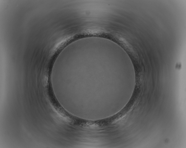 X0000091560640200708171326