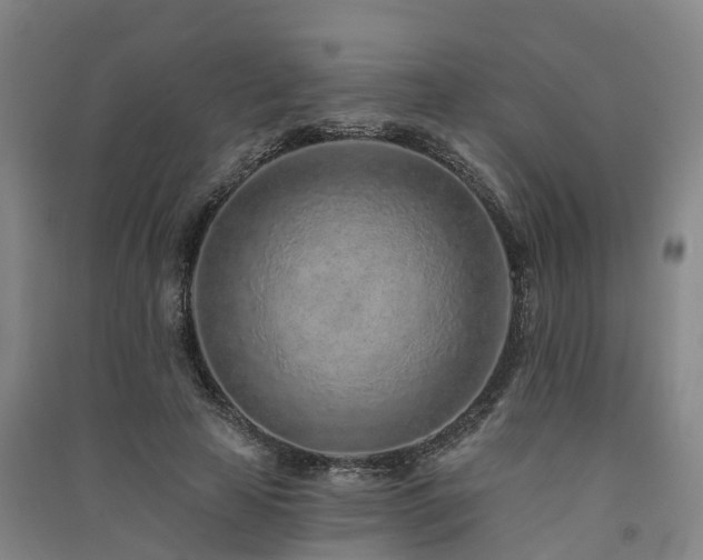 X0000091560641200708171326