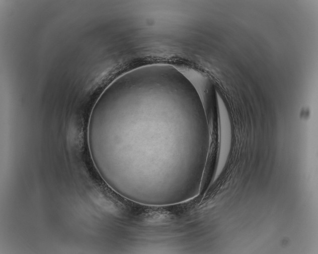 X0000091560642200708171326