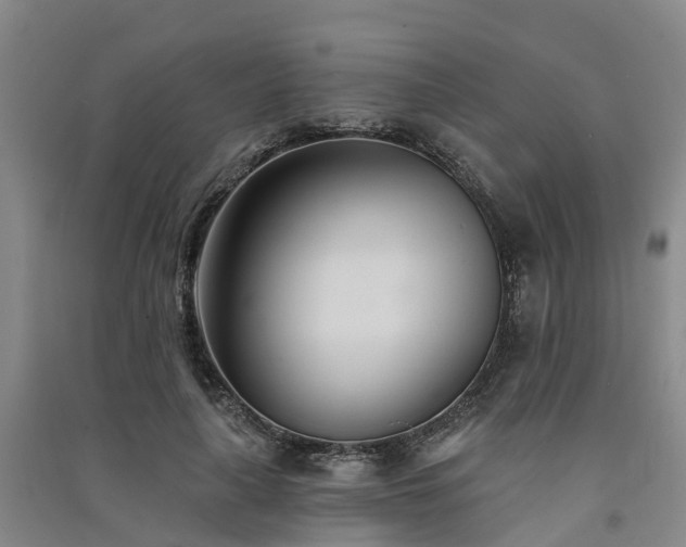 X0000091560643200708171326