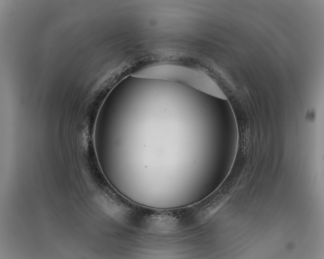 X0000091560644200708171326