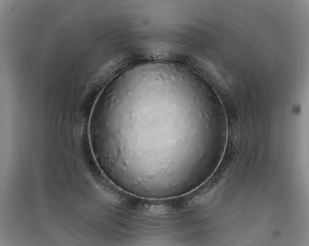 X0000091560645200708171326