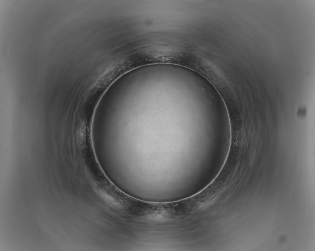 X0000091560646200708171326