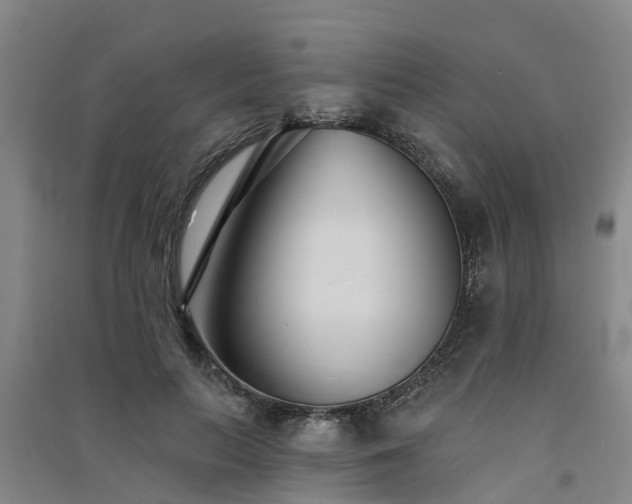 X0000091560647200708171326