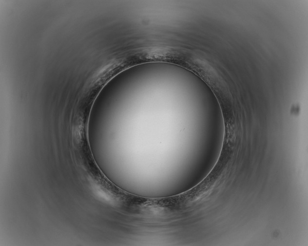 X0000091560648200708171326